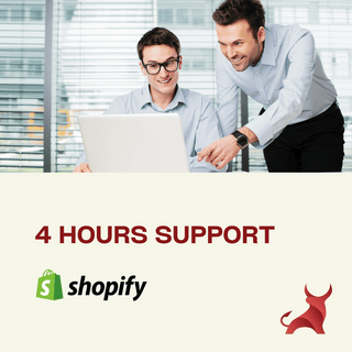 Business Shopify Support Package