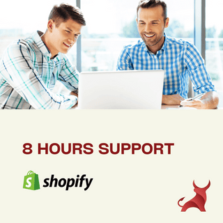 Premium Shopify Support Package