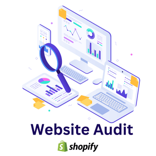 Shopify Website Audit